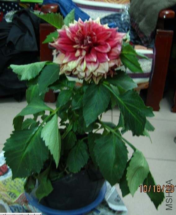 QQ��ͼ20121018215021.jpg