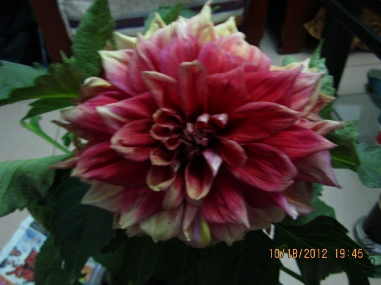 QQ��ͼ20121018215004.jpg