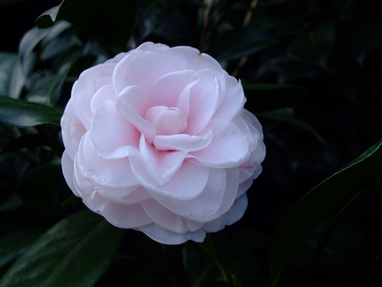 ���� 2012-10-19 002.jpg