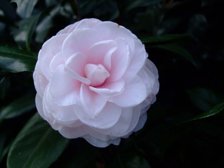 ���� 2012-10-19 001.jpg