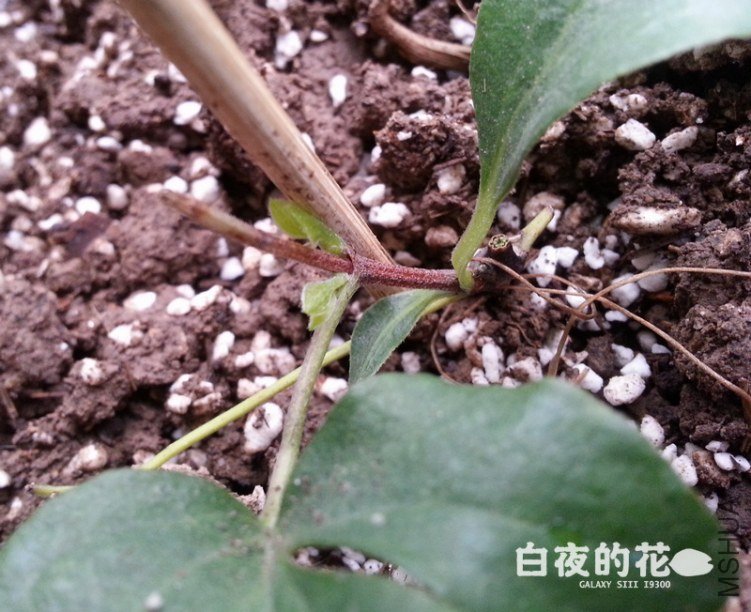 20121019_073557.jpg