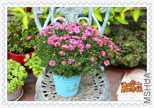 ��Ƭ 039_����.jpg