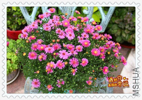 ��Ƭ 040_����.jpg