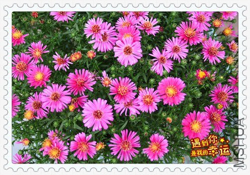 ��Ƭ 043_����.jpg