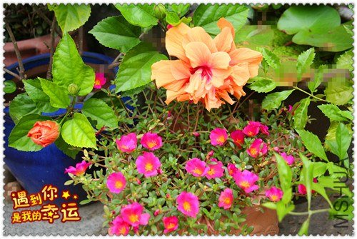 ��Ƭ 035_����.jpg