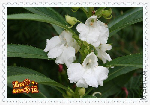 ��Ƭ 048_����.jpg