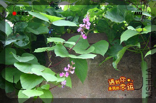 ��Ƭ 094_����.jpg