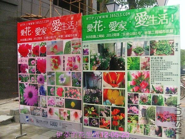 nEO_IMG_��Ƭ 022.jpg