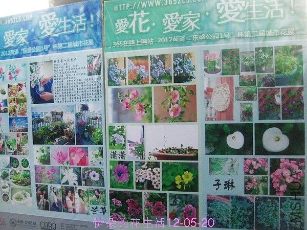 nEO_IMG_��Ƭ 025.jpg