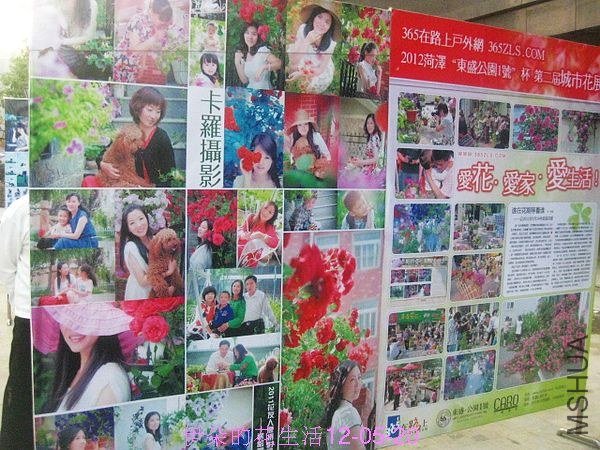 nEO_IMG_��Ƭ 026.jpg