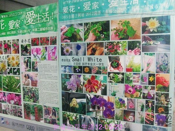 nEO_IMG_��Ƭ 021.jpg