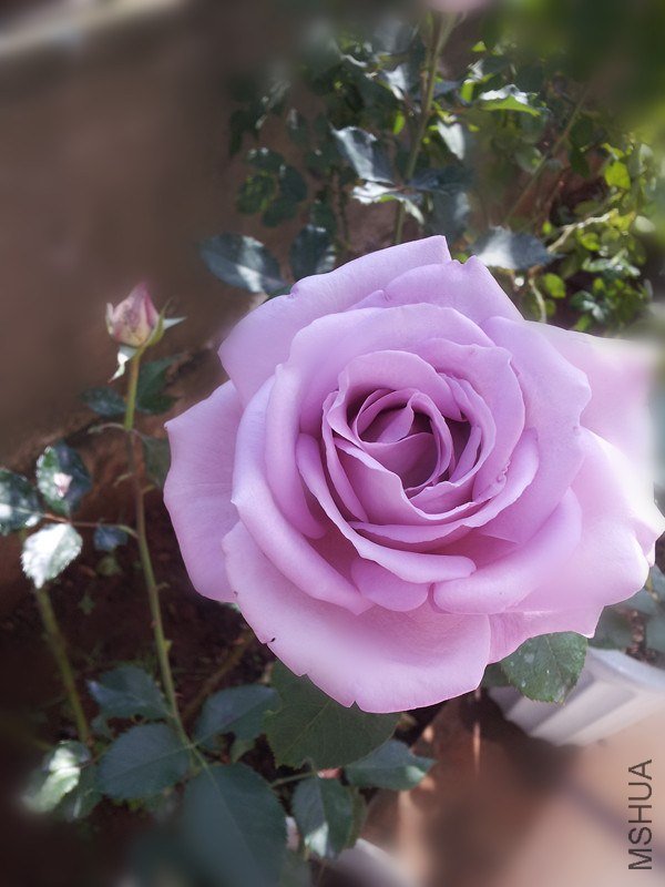 20121019_105000_����.jpg
