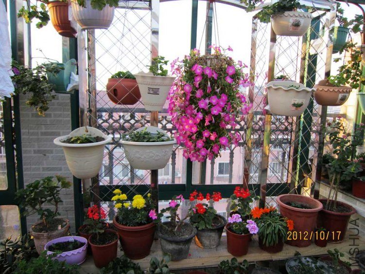 IMG_6778.jpg
