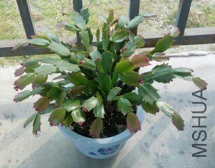IMG20121019192605.jpg