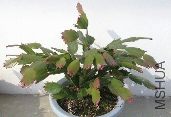 IMG20121019192636.jpg