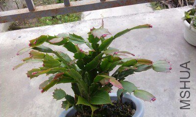 IMG20121019192650.jpg
