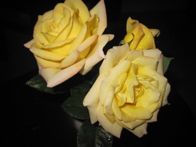 YB0MY3CA14UIN9CA2TX8VHCAHBA1BGCASTGU4OCAC210LECAVL48ELCA41AWLECA0FRN2YCATT6GARCA.jpg