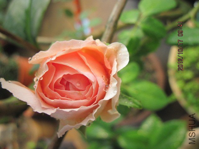 0NR2J8CA9GY5FBCA9DBYRVCAZEFT59CA4NSKHLCAW6UTGYCAMG7W14CA4Y0VUSCAJ8PAU8CAL663AQCA.jpg