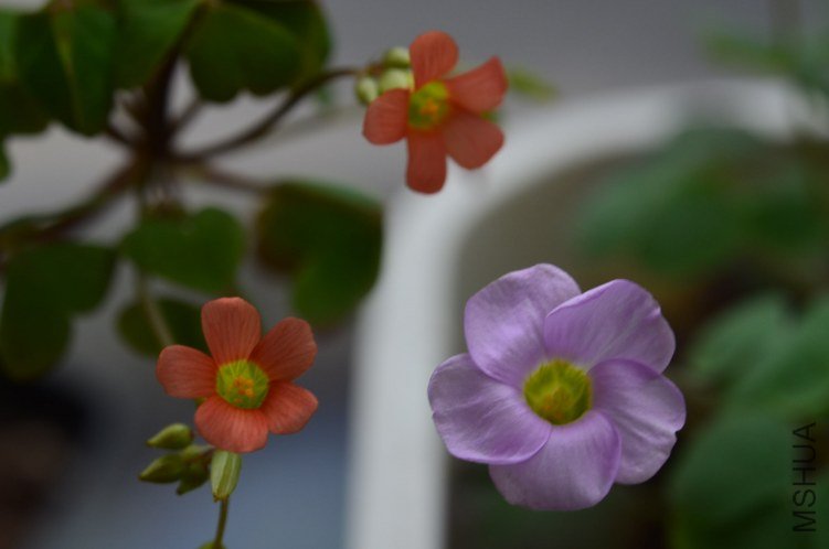 ����20120915 008.JPG