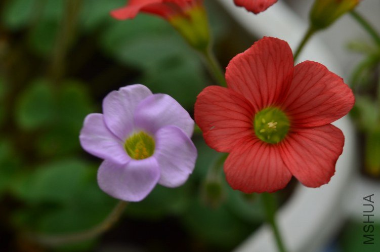 С�ձ�201200915 004.JPG