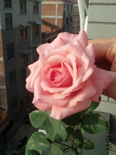 IMG20121020074130.jpg