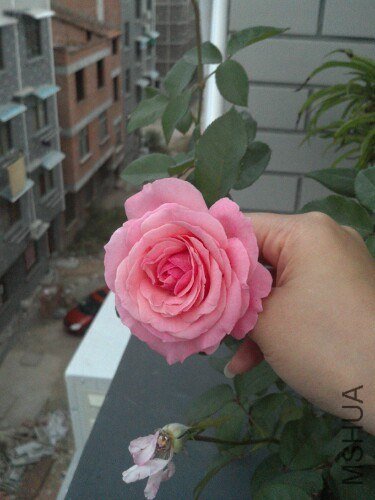 IMG20121020074246.jpg