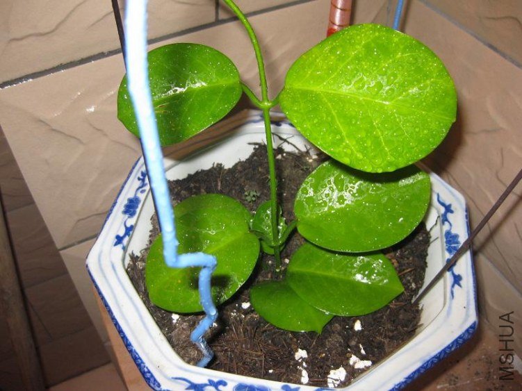 �Ϸ�1