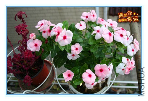 ��Ƭ 150_����.jpg