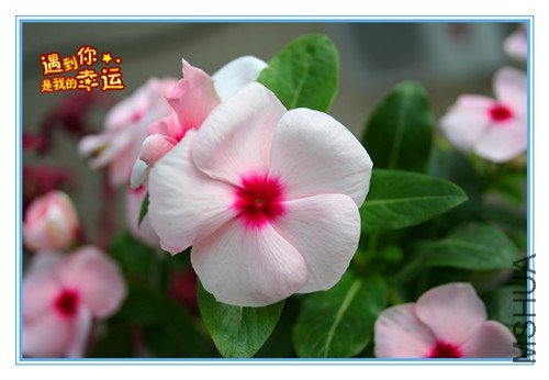 ��Ƭ 153_����.jpg