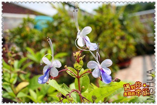 ��Ƭ 175_����.jpg