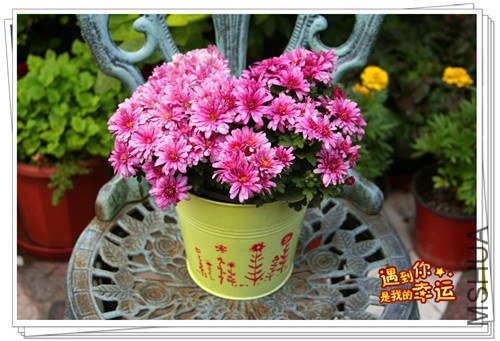 ��Ƭ 024_����.jpg