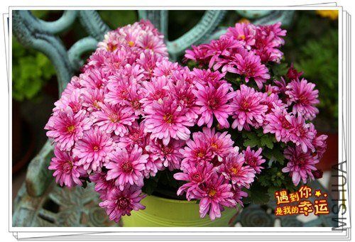 ��Ƭ 026_����.jpg