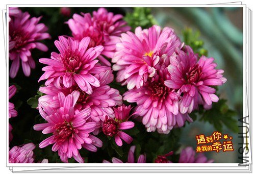 ��Ƭ 028_����.jpg