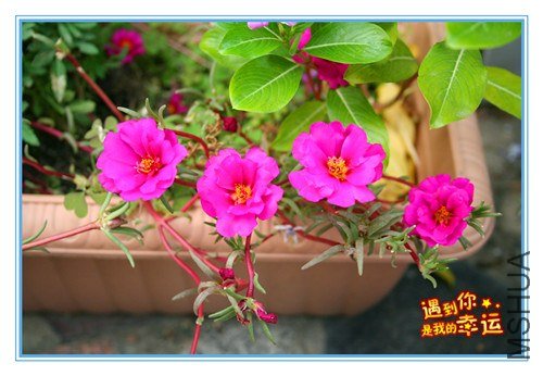 ��Ƭ 085_����.jpg