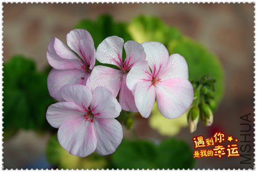 ��Ƭ 098_����.jpg