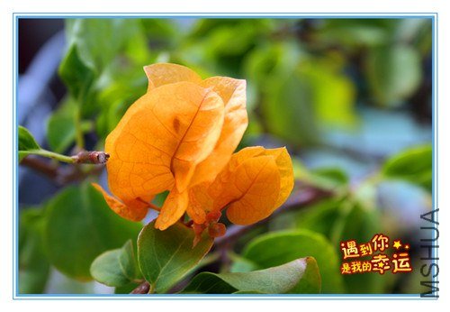 ��Ƭ 129_����.jpg