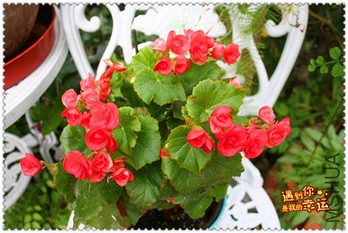 ��Ƭ 023_����.jpg