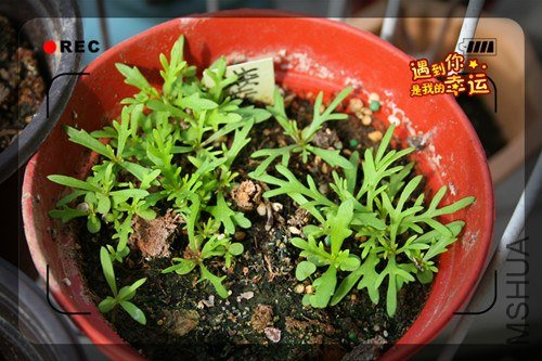 ��Ƭ 135_����.jpg