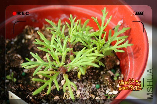 ��Ƭ 137_����.jpg