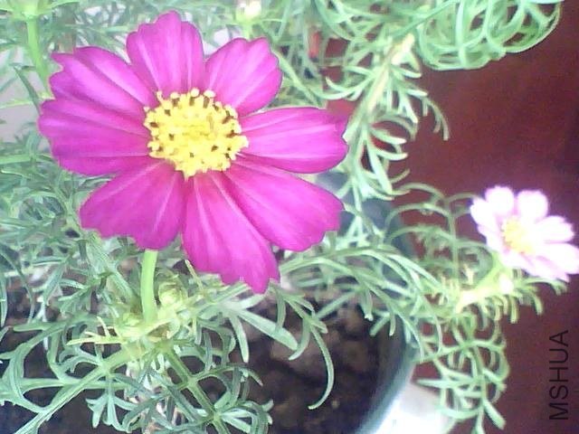 ͼƬ 036.jpg