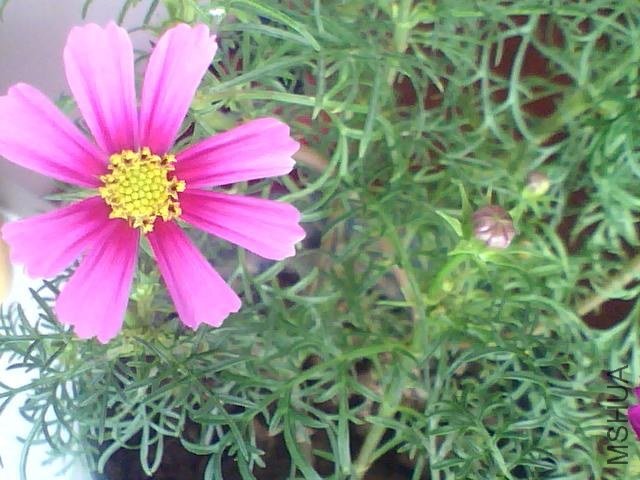 ͼƬ 037.jpg