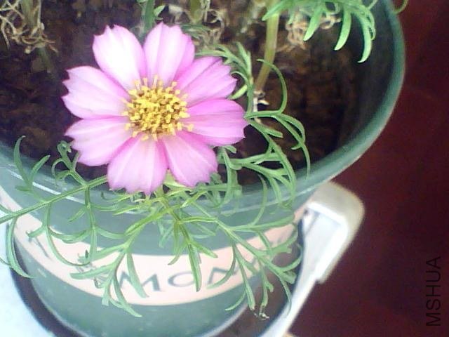 ͼƬ 038.jpg