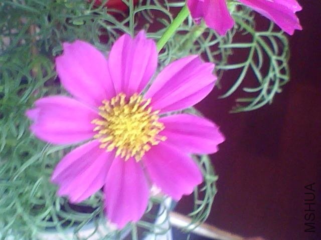 ͼƬ 040.jpg