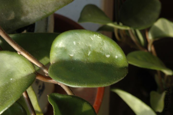 DSC_2776.jpg
