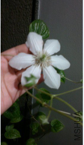 ��ɫ����Ƚϼ���