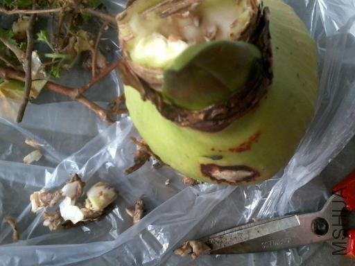 ���������������ĸ��õĶ���