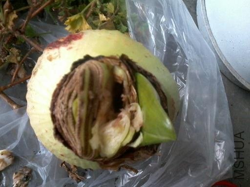 �м�����