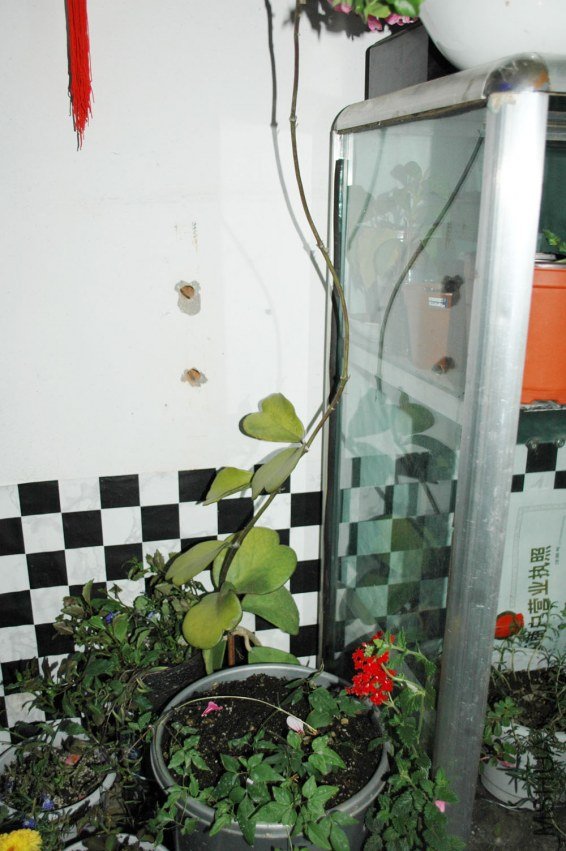 DSC_2806.jpg