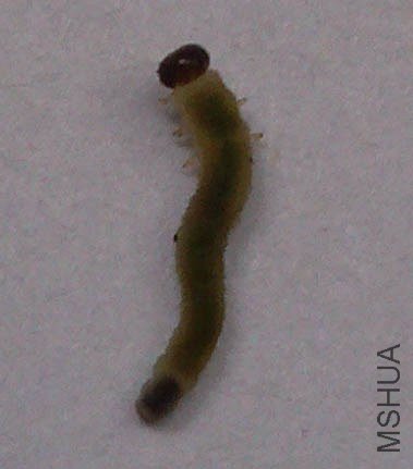 IMG_20121021_120645.jpg