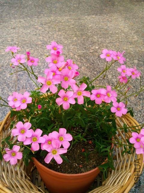 ��Ƭ0132.jpg